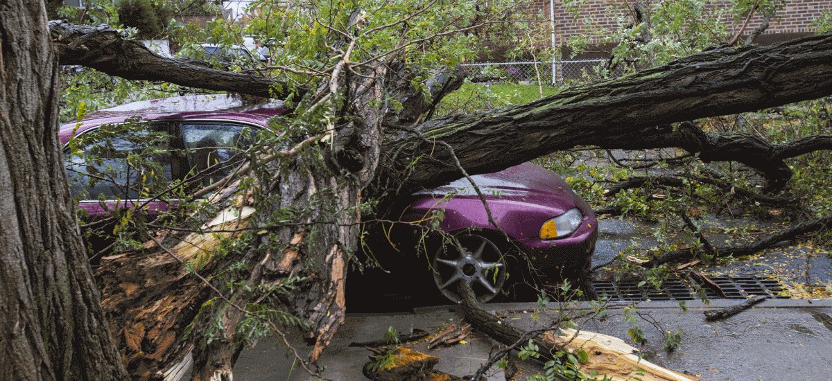 Does Car Insurance Cover Weather Damage Hail Water Flood Tree